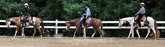 Western Pleasure